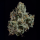 Wizard Trees - London Fog (Blue Dream × Tea Time)