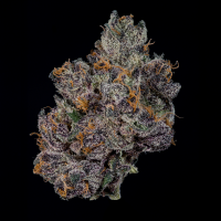 Wizard Trees - Grand Prixx (Monaco × Tea Time)