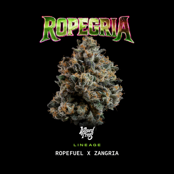 Wizard Trees - Ropegria (Ropefuel × Zangria)