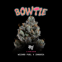 Wizard Trees - Bowtie (Wizard Fuel × Zangria)