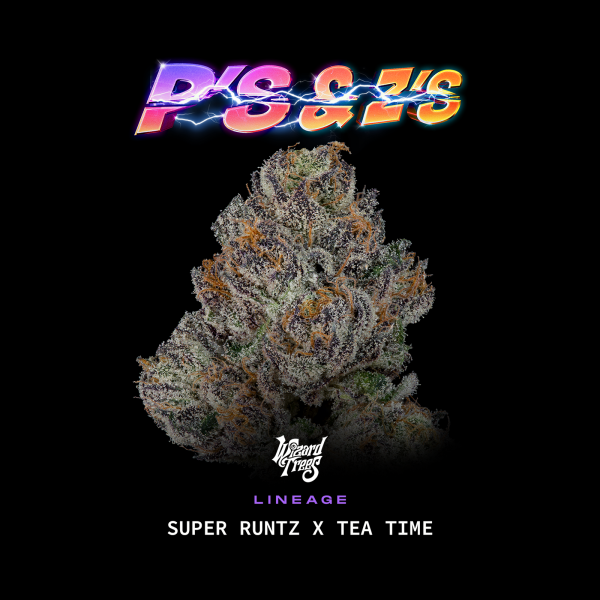 Wizard Trees - P’s & Z’s (Super Runtz × Tea Time)