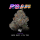 Wizard Trees - P’s & Z’s (Super Runtz × Tea Time)