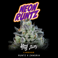 Wizard Trees x Runtz - Neon Runtz (Runtz x Zangria)