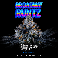 Wizard Trees - Broadway Runtz (Runtz x Studio 54)