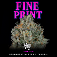 Wizard Trees – Fine Print ( Permanent Marker x...