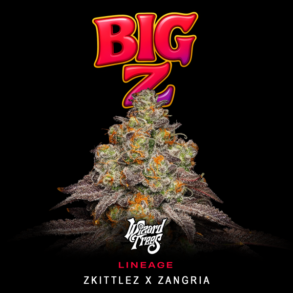 Wizard Trees - Big Z (Zkittlez × Zangria)