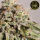 HW Seed Company - Berry Pie - 4 Seeds