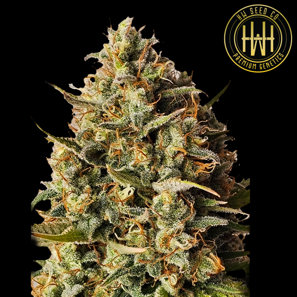 HW Seed Company - Watermelon - 4 Seeds