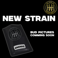 HW Seed Company - AnanaZ - 4 Seeds