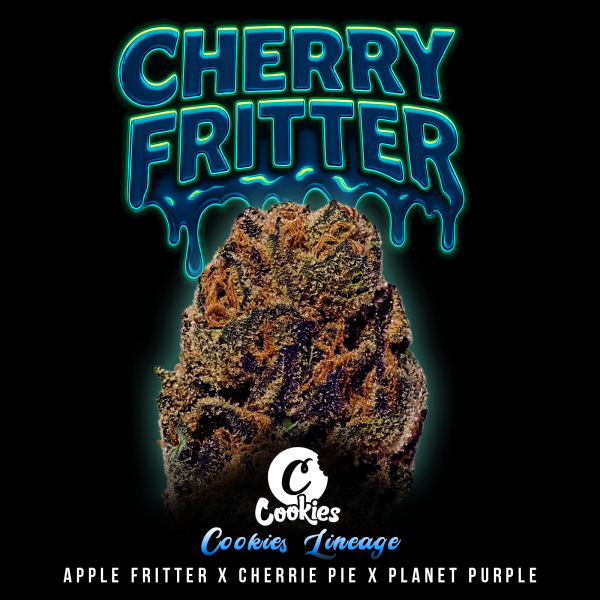 Cookies - Cherry Fritter - Apple Fritter X (Cherry Pie X Planet Purple) (Feminisiert) 6x Cannabis Samen