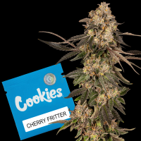 Cookies - Cherry Fritter - Apple Fritter X (Cherry Pie X...