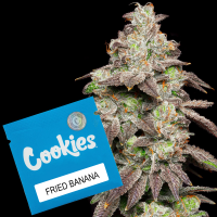 Cookies - Fried Banana - Guava Stardawg X Gelato 41...