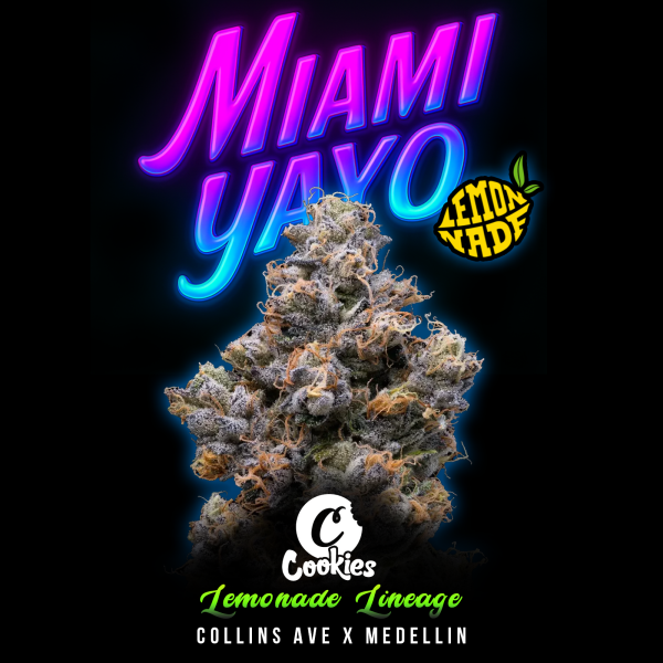 Cookies - Miami Yayo - 3x Seeds