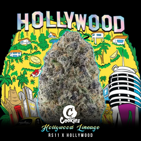 Cookies - RS11 × Hollywood - 6x Seeds