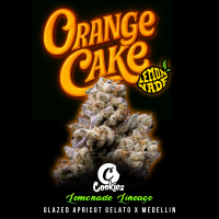 Cookies - Orange Cake - 6 x Seeds