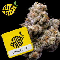 Cookies - Orange Cake - 6 x Seeds