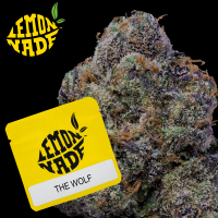 Cookies - The Wolf - 6x Seeds