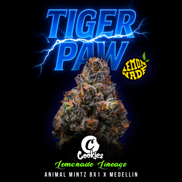 Cookies - Tiger Paw - 3x Seeds
