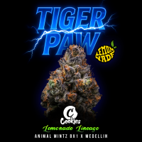 Cookies - Tiger Paw - 6x Seeds