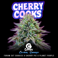 Cookies - Cherry Cooks (Forum Cut Cookies × Cherry...
