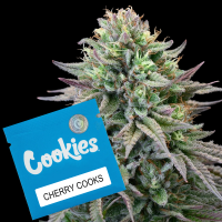 Cookies - Cherry Cooks (Forum Cut Cookies × Cherry...
