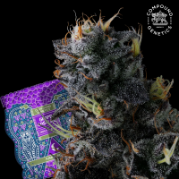 Compound Genetics – Giggin’ Grapes -...
