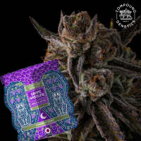 Compound Genetics – Purple Preserves - feminisierte...