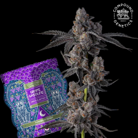 Compound Genetics – Mellowz - feminisierte Samen (3...
