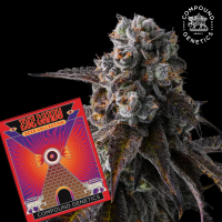 Compound Genetics - Presidential Pardon - feminisierte...