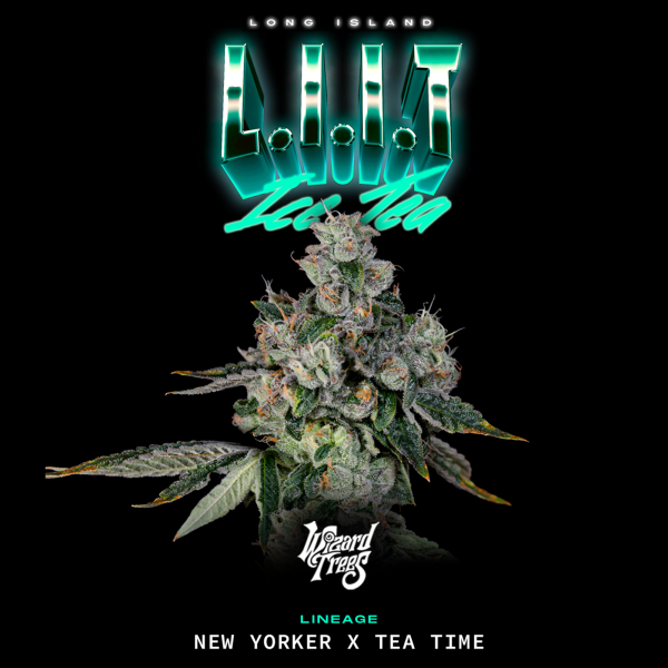 Wizard Trees – L.I.I.T. (New Yorker x Tea Time)