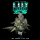 Wizard Trees – L.I.I.T. (New Yorker x Tea Time)