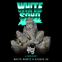 Wizard Trees - White Soho (White Runtz x Studio 54)