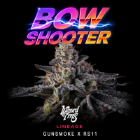 Wizard Trees - Bow Shooter ( Gunsmoke x RS11)