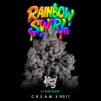 Wizard Trees - Rainbow Swirl (C.R.E.A.M. x RS11)