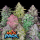 FastBuds - Mix Pack