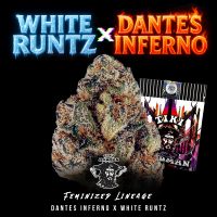 Tiki Madman - White Runtz × Dante’s Inferno -...