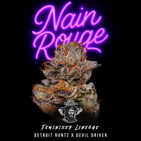 Tiki Madman - Nain Rouge - Feminisiert - 6 Seeds