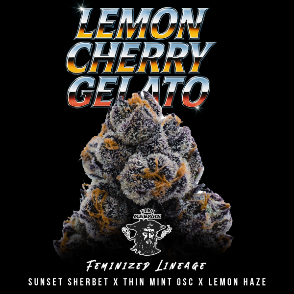 Tiki Madman - Lemon Cherry Gelato - Feminisiert - 6 Seeds