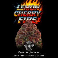 Tiki Madman - Lemon Cherry Fire - Regulär - 10 Seeds