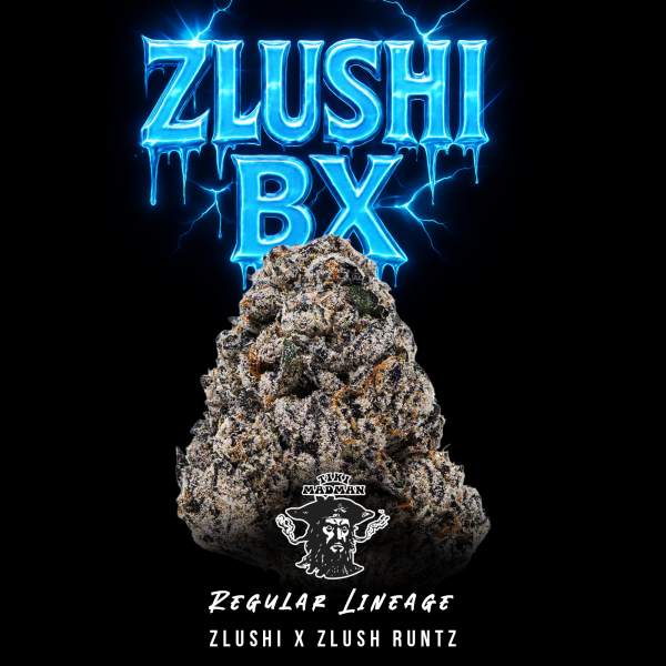 Tiki Madman - Zlushi Bx - Regulär - 10 Seeds
