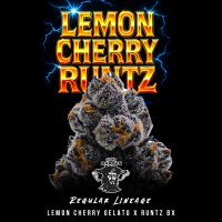 Tiki Madman - Lemon Cherry Runtz - Regulär - 10 Seeds