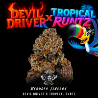 Tiki Madman - Devil Driver x Tropical Runtz -...