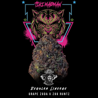 Tiki Madman - Disco Tiger - Regulär - 10 Seeds