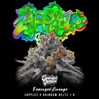 Conscious Genetics - Zapplez 2.0 - Feminisiert - 7 Seeds