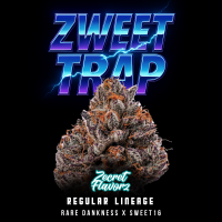Zecret Flavorz - Zweet Trap - Regulär - 10 Seeds