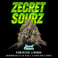 Zecret Flavorz - Zecret Sourz - Feminisiert - 3 Seeds