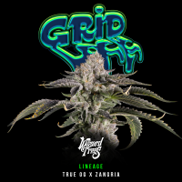 Wizard Trees - Grid Lock (True OG x Zangria)