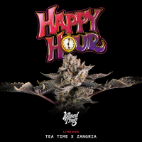 Wizard Trees - Happy Hour (Tea Time x Zangria)