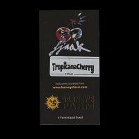 Barney’s Farm - Tropicana Cherry