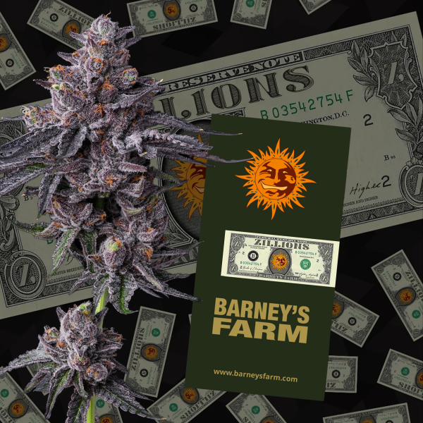 Barney’s Farm - Zillions